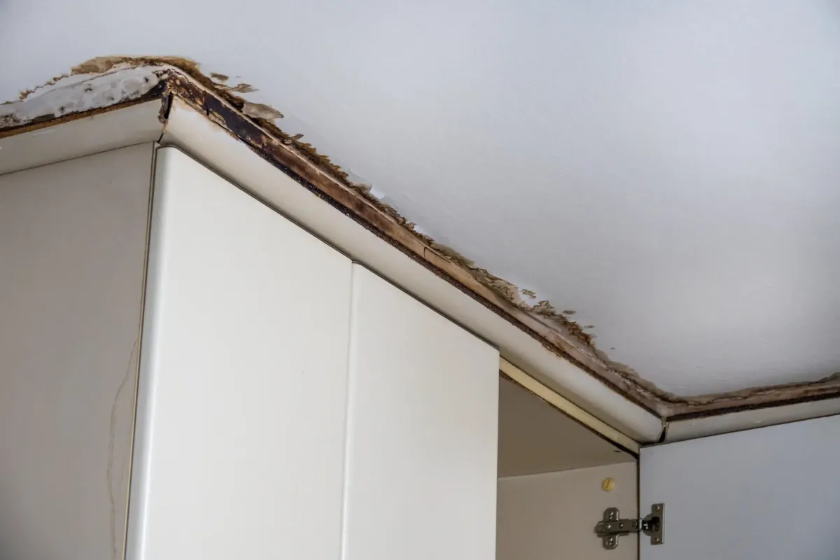 Building inspector documenting council infrastructure condition for dilapidation report