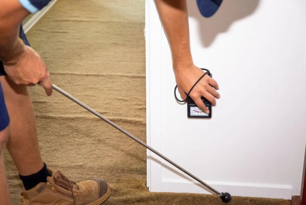 Australian timber home surrounded by native garden with natural pest prevention measures in place