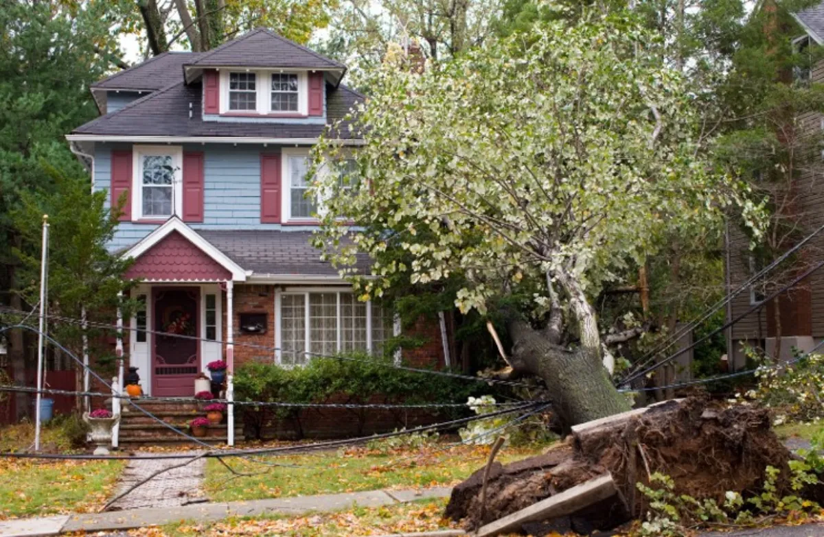 A Guide to Insurance Claim Assessments for Property Damage
