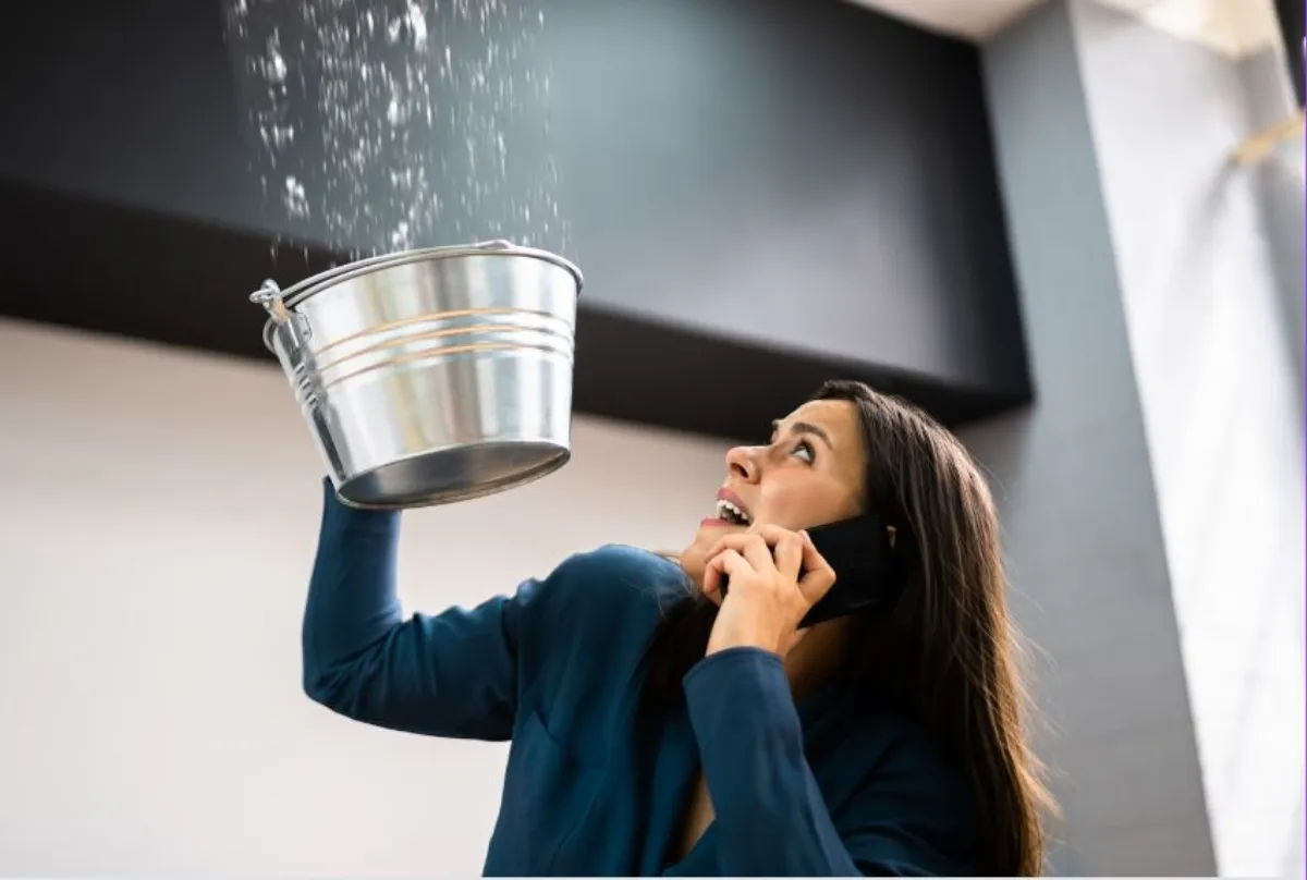 Waterproofing Inspections: Prevent Water Damage and Save Costs