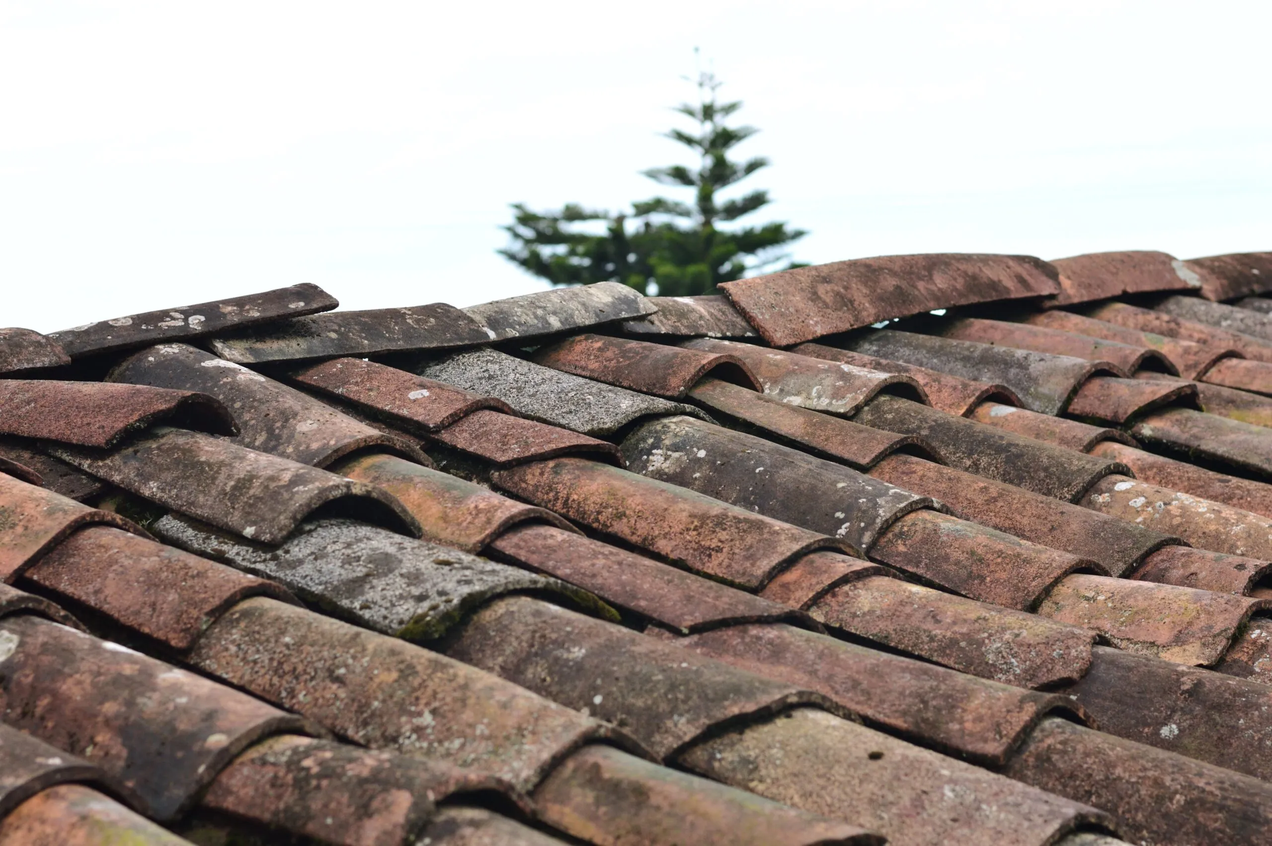 Australian home with an aging roof showing signs of wear from harsh weather
